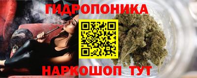 дурь Славгород