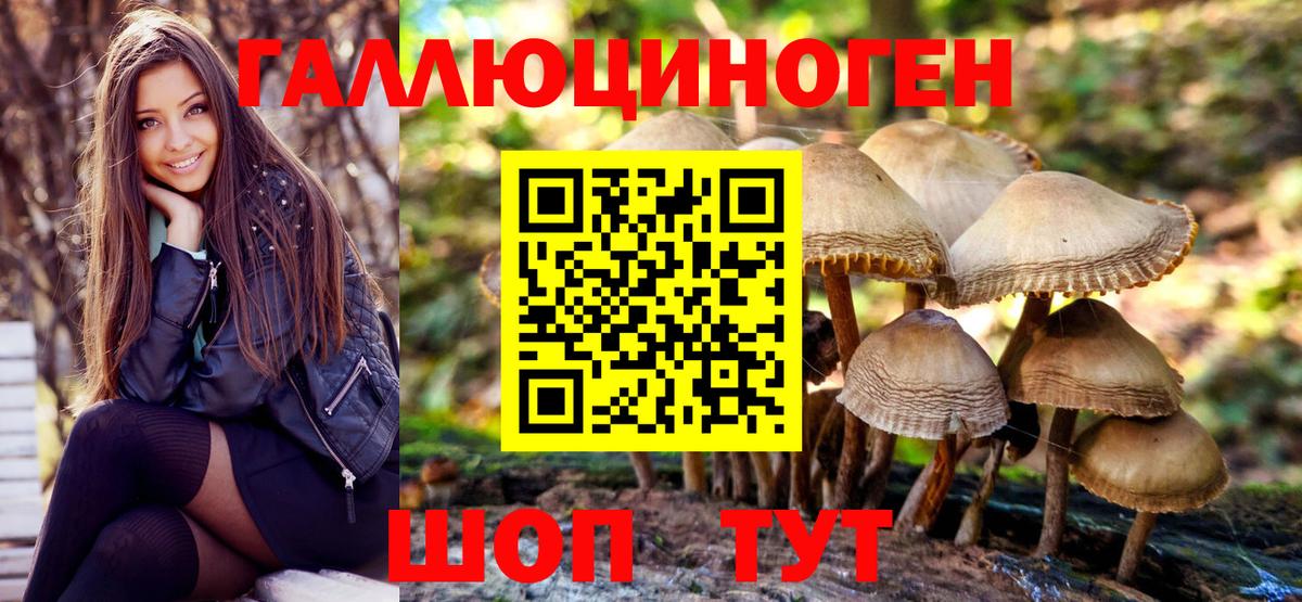 Энгельс  Псилоцибиновые грибы Psilocybe  Галлюциногенные грибы MAGIC MUSHROOMS  Вход с VPN 